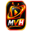 Max View Hub Security Team